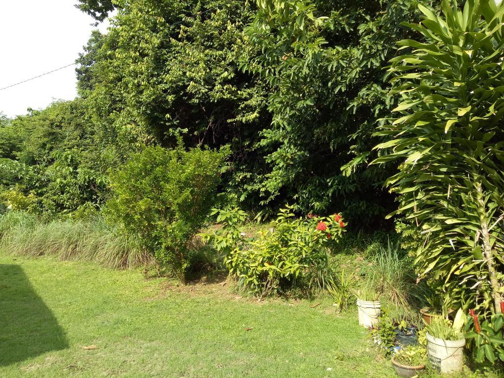 Nas Villaria Langkawi Pantai Cenang  Ngoại thất bức ảnh